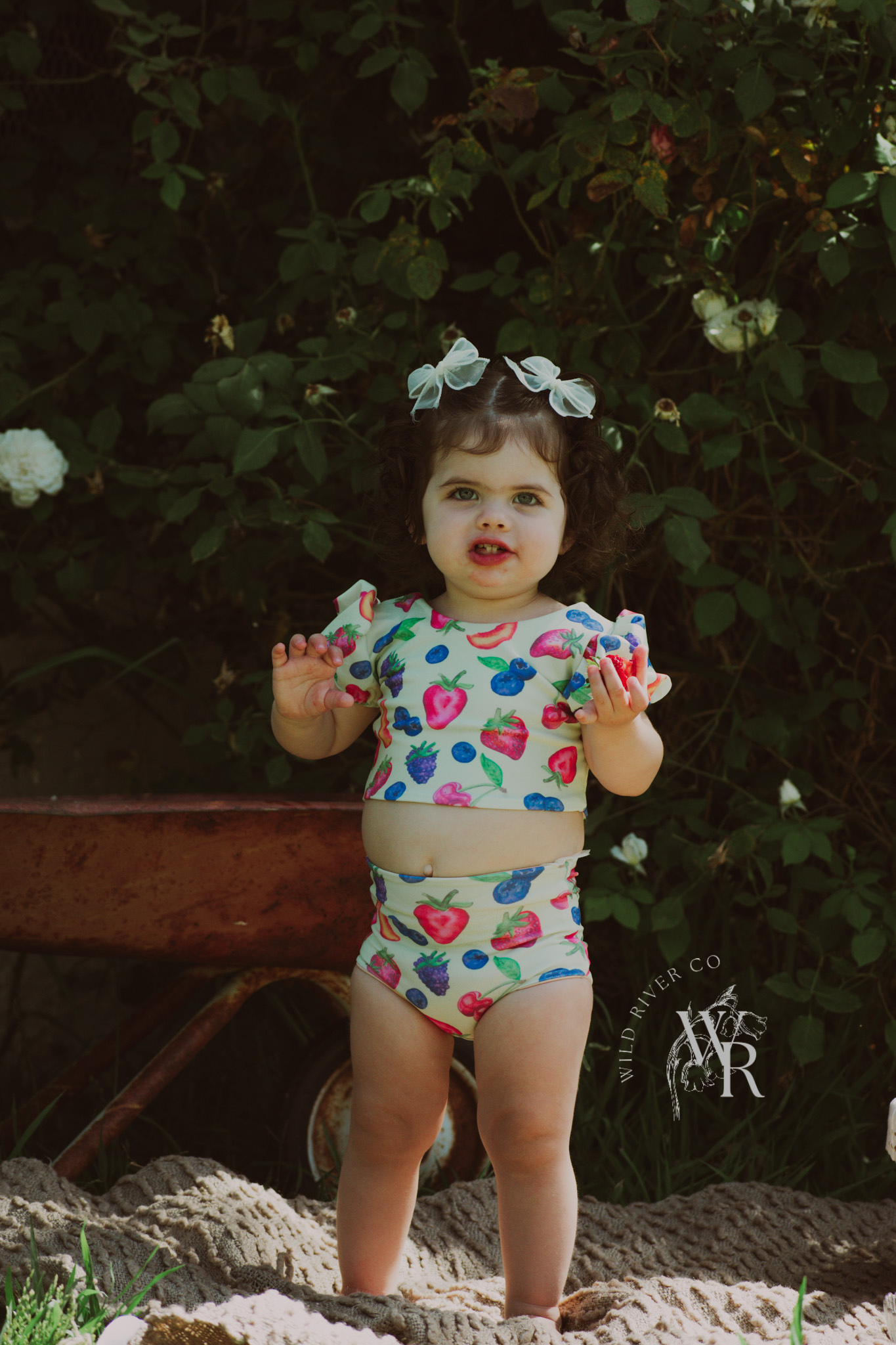 Fruity puff sleeve two-piece